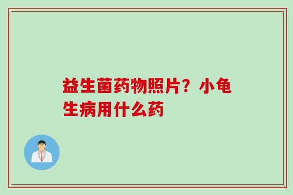 益生菌照片?小龟生用什么药 益生菌照片?小龟生用什么药
