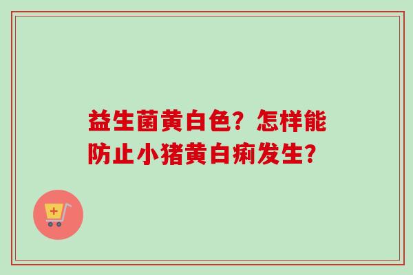 益生菌黄白色？怎样能防止小猪黄白痢发生？