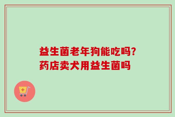 益生菌老年狗能吃吗？药店卖犬用益生菌吗