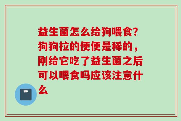 益生菌怎么给狗喂食？狗狗拉的便便是稀的，刚给它吃了益生菌之后可以喂食吗应该注意什么