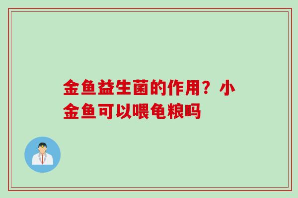 金鱼益生菌的作用？小金鱼可以喂龟粮吗