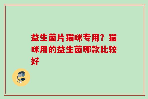 益生菌片猫咪专用？猫咪用的益生菌哪款比较好