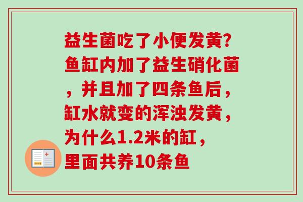 益生菌吃了小便发黄？鱼缸内加了益生硝化菌，并且加了四条鱼后，缸水就变的浑浊发黄，为什么1.2米的缸，里面共养10条鱼