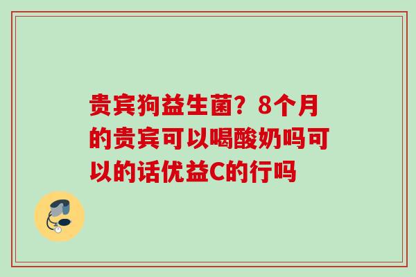 贵宾狗益生菌？8个月的贵宾可以喝酸奶吗可以的话优益C的行吗