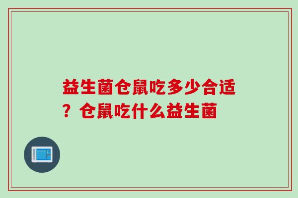 益生菌仓鼠吃多少合适？仓鼠吃什么益生菌