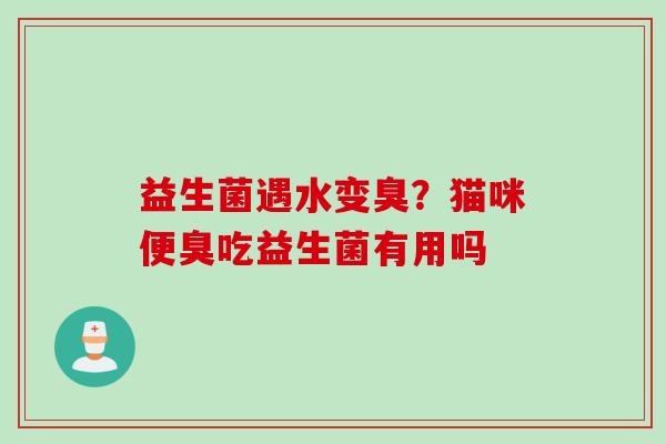 益生菌遇水变臭?猫咪便臭吃益生菌有用吗 益生菌遇水变臭?猫咪便臭吃益生菌有用吗