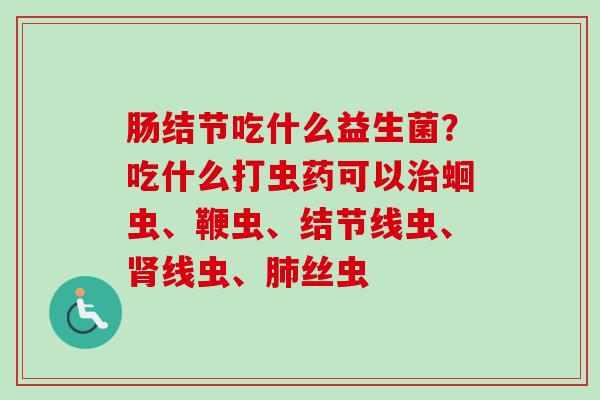 肠结节吃什么益生菌？吃什么打虫药可以蛔虫、鞭虫、结节线虫、线虫、丝虫