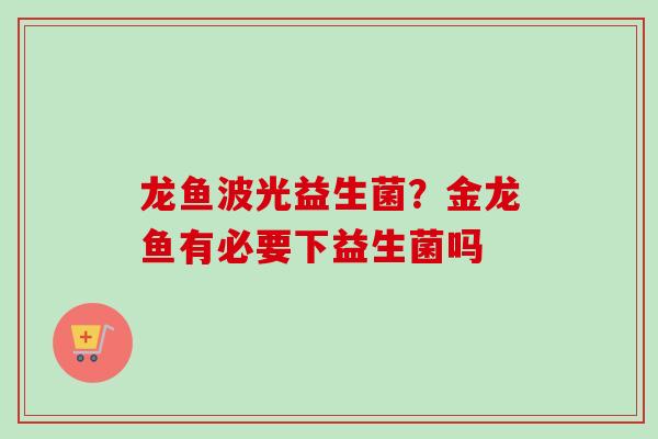 龙鱼波光益生菌?金龙鱼有必要下益生菌吗 龙鱼波光益生菌?金龙鱼有必要下益生菌吗