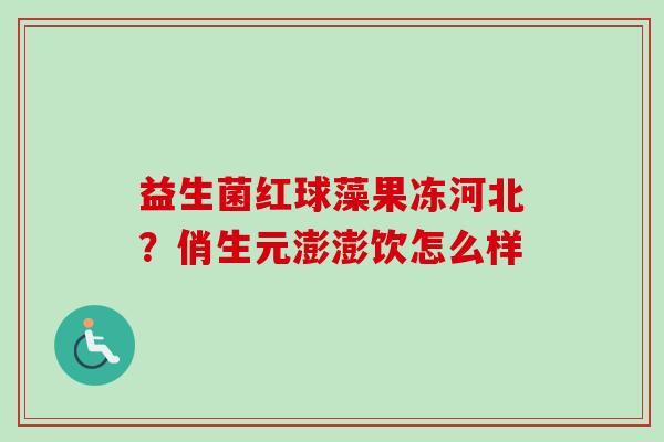益生菌红球藻果冻河北？俏生元澎澎饮怎么样
