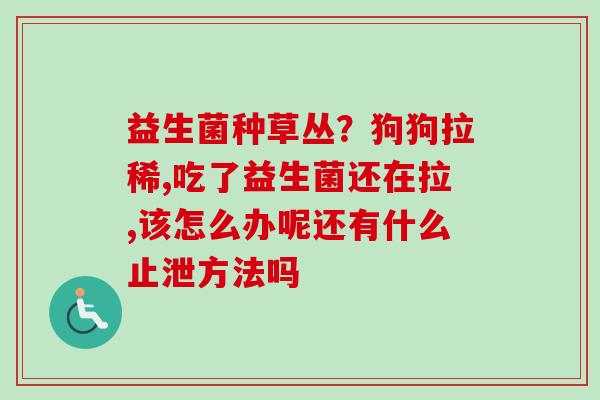 益生菌种草丛？狗狗拉稀,吃了益生菌还在拉,该怎么办呢还有什么止泄方法吗