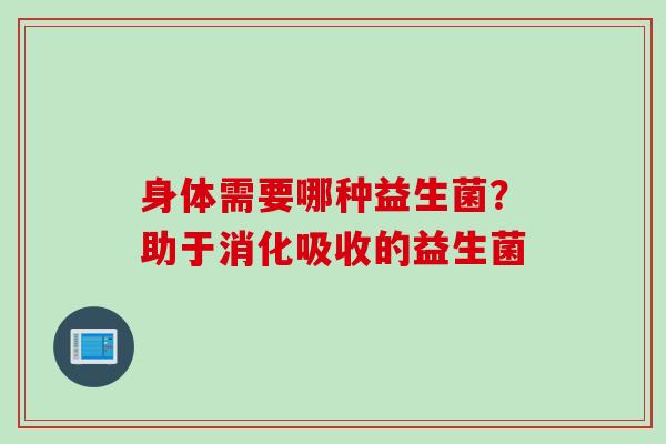 身体需要哪种益生菌？助于消化吸收的益生菌
