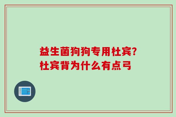 益生菌狗狗专用杜宾?杜宾背为什么有点弓 益生菌狗狗专用杜宾?杜宾背为什么有点弓