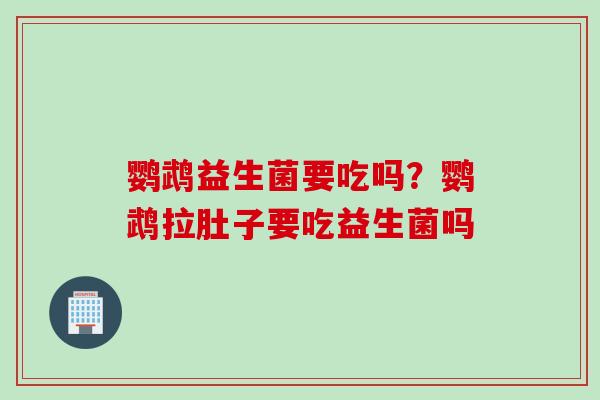 鹦鹉益生菌要吃吗?鹦鹉拉肚子要吃益生菌吗 鹦鹉益生菌要吃吗?鹦鹉拉肚子要吃益生菌吗