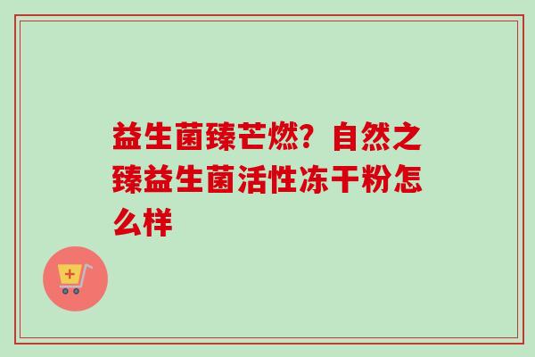 益生菌臻芒燃？自然之臻益生菌活性冻干粉怎么样