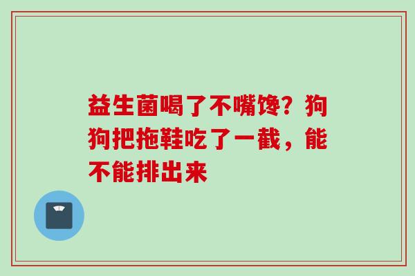 益生菌喝了不嘴馋？狗狗把拖鞋吃了一截，能不能排出来