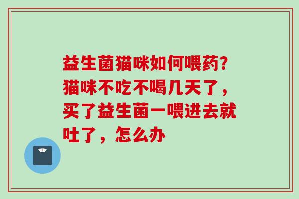 益生菌猫咪如何喂药？猫咪不吃不喝几天了，买了益生菌一喂进去就吐了，怎么办