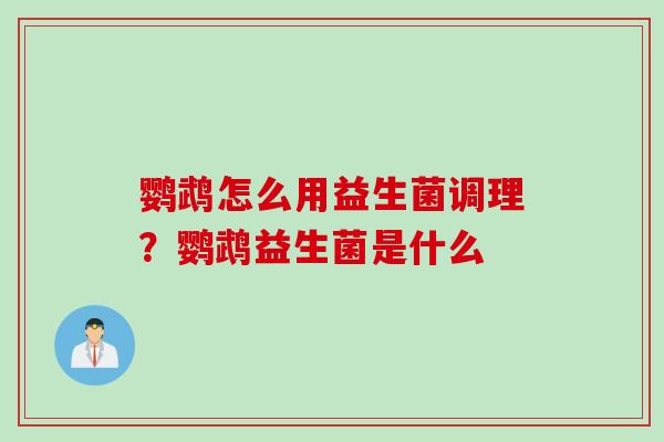 鹦鹉怎么用益生菌调理？鹦鹉益生菌是什么