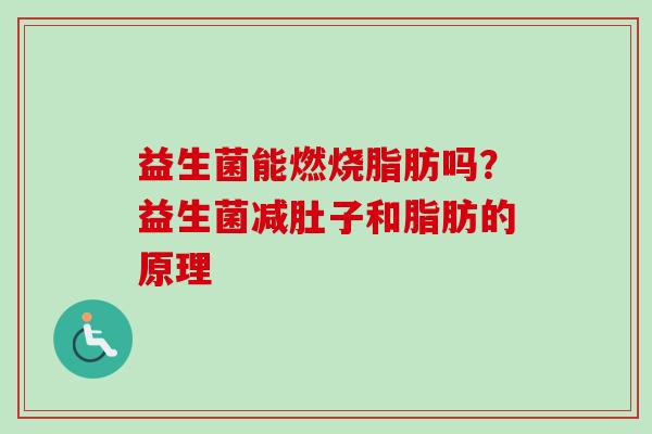 益生菌能燃烧脂肪吗？益生菌减肚子和脂肪的原理