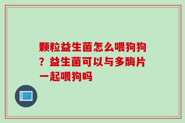 颗粒益生菌怎么喂狗狗？益生菌可以与多酶片一起喂狗吗