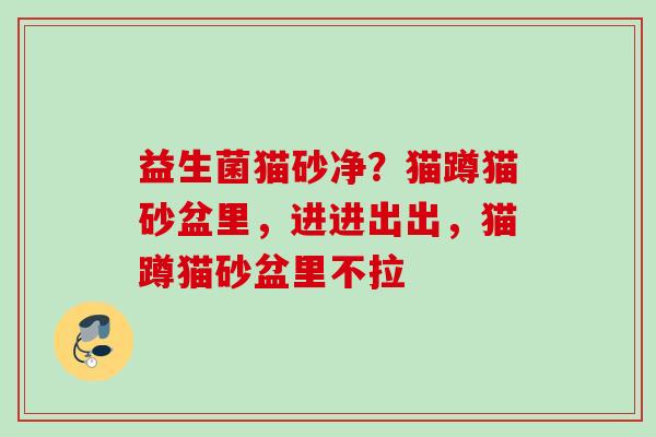 益生菌猫砂净？猫蹲猫砂盆里，进进出出，猫蹲猫砂盆里不拉