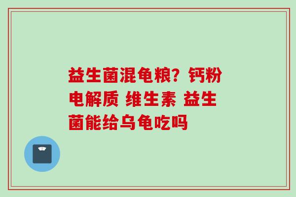 益生菌混龟粮？钙粉 电解质 维生素 益生菌能给乌龟吃吗