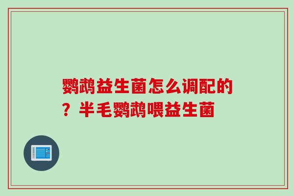 鹦鹉益生菌怎么调配的?半毛鹦鹉喂益生菌 鹦鹉益生菌怎么调配的?半毛鹦鹉喂益生菌