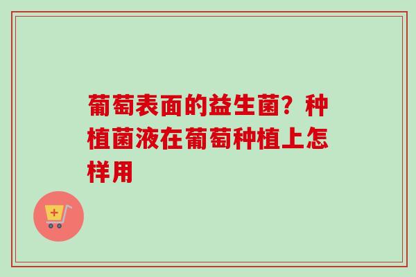 葡萄表面的益生菌？种植菌液在葡萄种植上怎样用