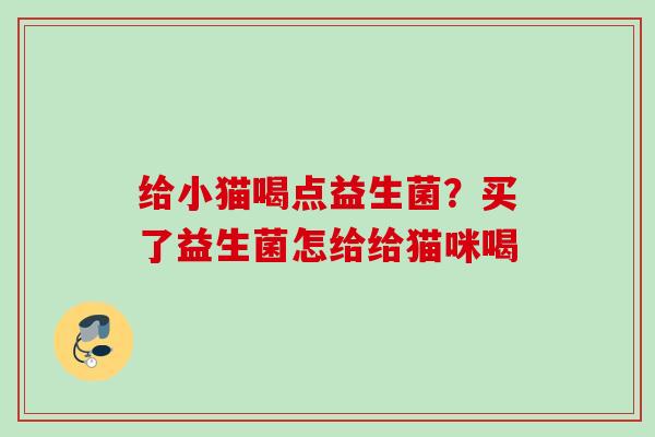 给小猫喝点益生菌？买了益生菌怎给给猫咪喝