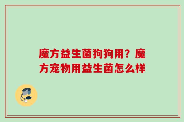 魔方益生菌狗狗用?魔方宠物用益生菌怎么样 魔方益生菌狗狗用?魔方宠物用益生菌怎么样