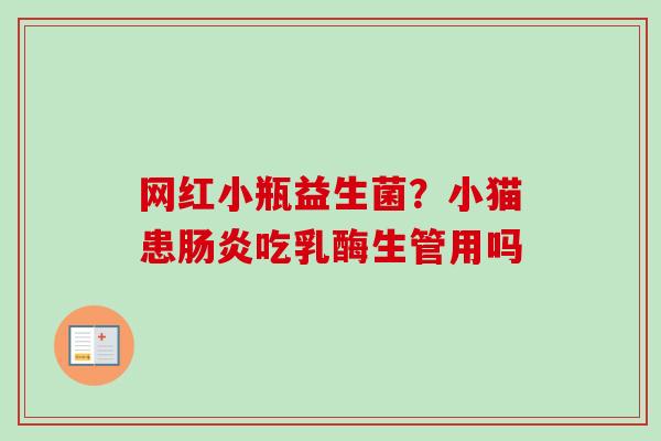 网红小瓶益生菌?小猫患吃乳酶生管用吗 网红小瓶益生菌?小猫患吃乳酶生管用吗