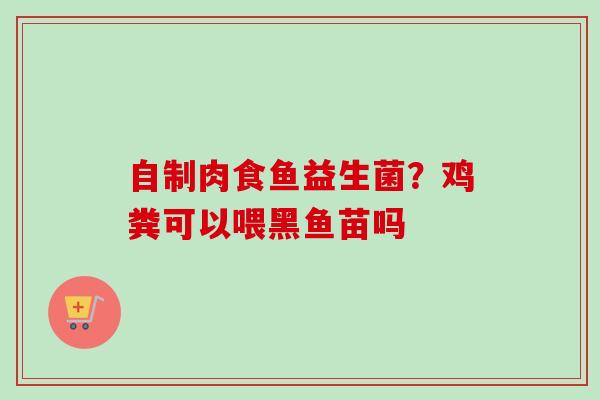 自制肉食鱼益生菌?鸡粪可以喂黑鱼苗吗 自制肉食鱼益生菌?鸡粪可以喂黑鱼苗吗