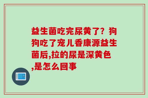 益生菌吃完尿黄了？狗狗吃了宠儿香康源益生菌后,拉的尿是深黄色,是怎么回事