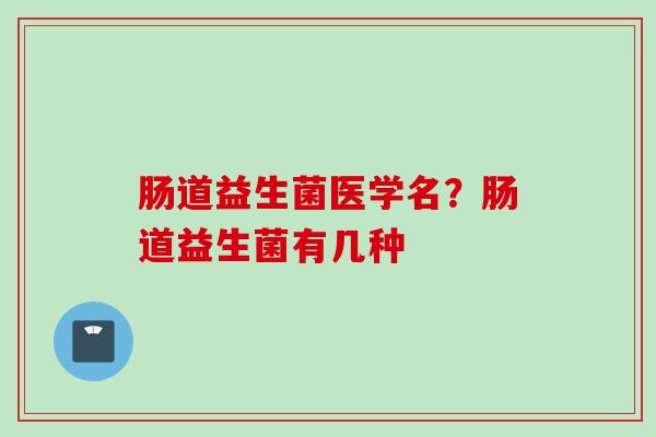 肠道益生菌医学名？肠道益生菌有几种