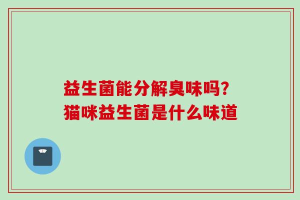 益生菌能分解臭味吗?猫咪益生菌是什么味道 益生菌能分解臭味吗?猫咪益生菌是什么味道