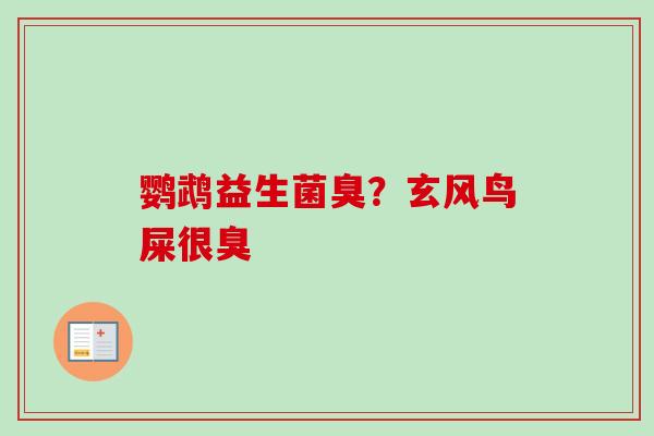 鹦鹉益生菌臭?玄风鸟屎很臭 鹦鹉益生菌臭?玄风鸟屎很臭
