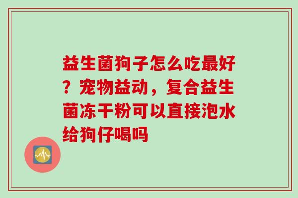 益生菌狗子怎么吃好?宠物益动,复合益生菌冻干粉可以直接泡水给狗仔喝吗 益生菌狗子怎么吃好?宠物益动,复合益生菌冻干粉可以直接泡水给狗仔喝吗