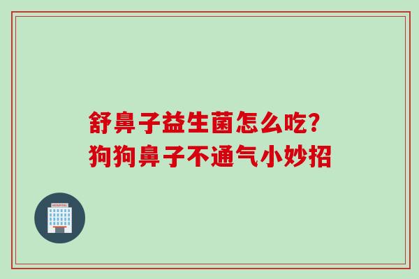 舒鼻子益生菌怎么吃?狗狗鼻子不通气小妙招 舒鼻子益生菌怎么吃?狗狗鼻子不通气小妙招
