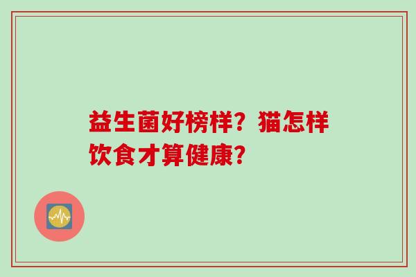 益生菌好榜样?猫怎样饮食才算健康? 益生菌好榜样?猫怎样饮食才算健康?