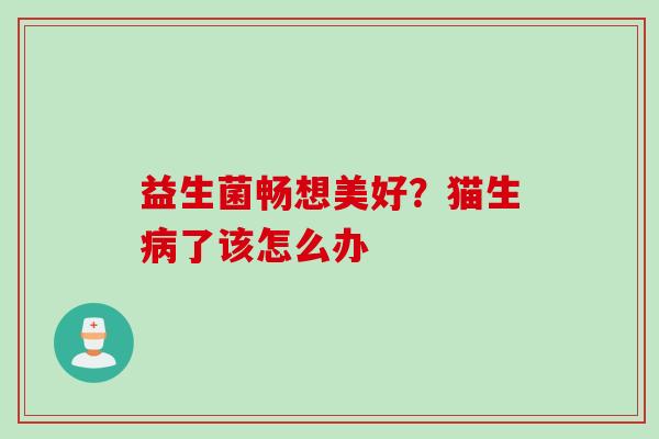 益生菌畅想美好？猫生了该怎么办