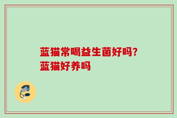 蓝猫常喝益生菌好吗?蓝猫好养吗 蓝猫常喝益生菌好吗?蓝猫好养吗