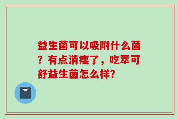 益生菌可以吸附什么菌?有点消瘦了,吃萃可舒益生菌怎么样? 益生菌可以吸附什么菌?有点消瘦了,吃萃可舒益生菌怎么样?