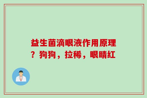 益生菌滴眼液作用原理?狗狗,拉稀,眼睛红 益生菌滴眼液作用原理?狗狗,拉稀,眼睛红