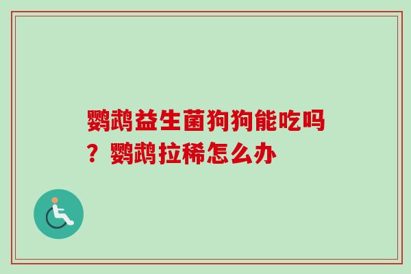 鹦鹉益生菌狗狗能吃吗?鹦鹉拉稀怎么办 鹦鹉益生菌狗狗能吃吗?鹦鹉拉稀怎么办