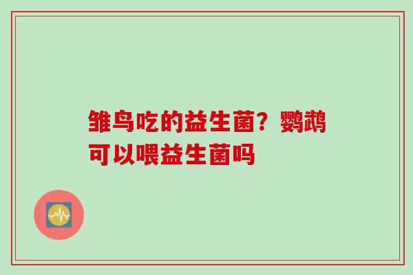 雏鸟吃的益生菌？鹦鹉可以喂益生菌吗