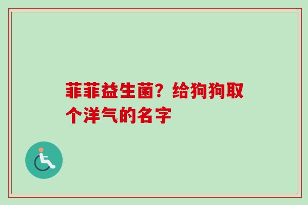 菲菲益生菌？给狗狗取个洋气的名字