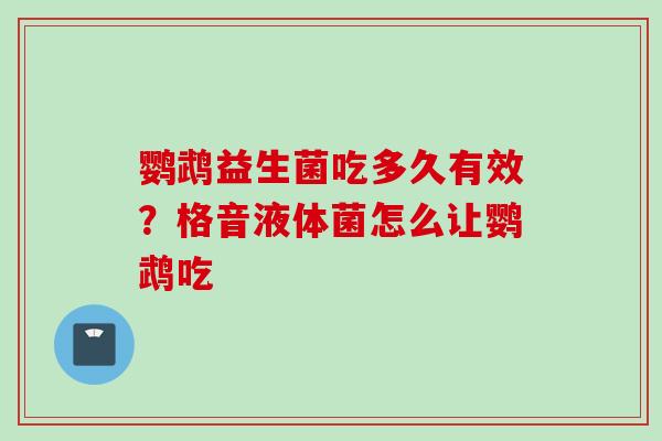 鹦鹉益生菌吃多久有效?格音液体菌怎么让鹦鹉吃 鹦鹉益生菌吃多久有效?格音液体菌怎么让鹦鹉吃