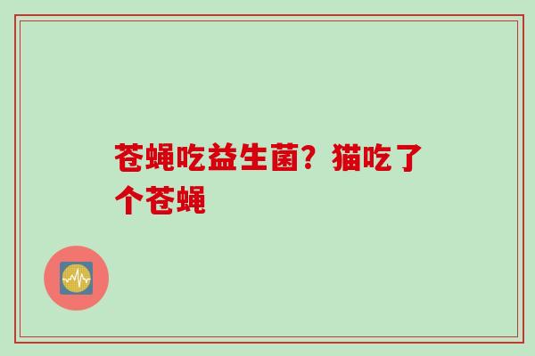 苍蝇吃益生菌?猫吃了个苍蝇 苍蝇吃益生菌?猫吃了个苍蝇