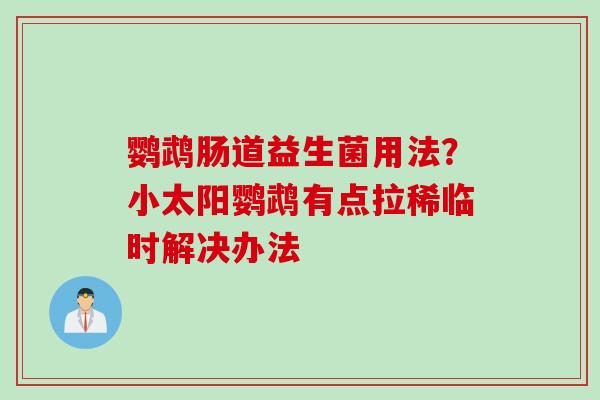 鹦鹉肠道益生菌用法？小太阳鹦鹉有点拉稀临时解决办法
