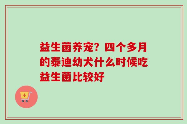 益生菌养宠?四个多月的泰迪幼犬什么时候吃益生菌比较好 益生菌养宠?四个多月的泰迪幼犬什么时候吃益生菌比较好