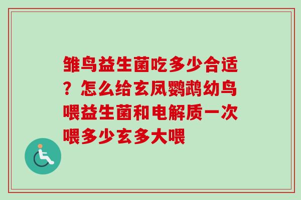 雏鸟益生菌吃多少合适？怎么给玄凤鹦鹉幼鸟喂益生菌和电解质一次喂多少玄多大喂